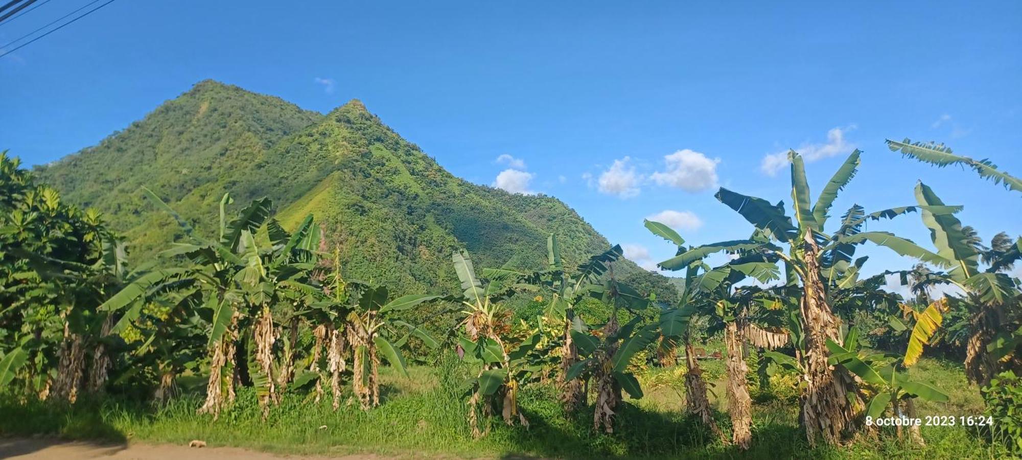 Hava'E Lodge Teahupoo Esterno foto